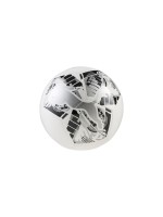 PUMA Ballon de football Big Cat Blanc, 5
