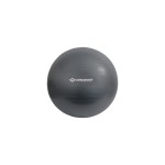Schildkröt Fitness Ballon de gymnastique 75 cm