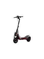 Segway-Ninebot ZT 3 Pro D, mit Strassenzulassung